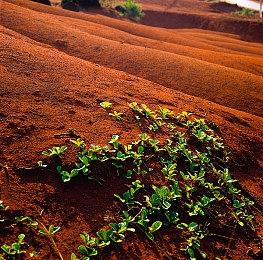 《警察模拟器：巡警》结束EA正式发售 价格永降老玩家补偿DLC